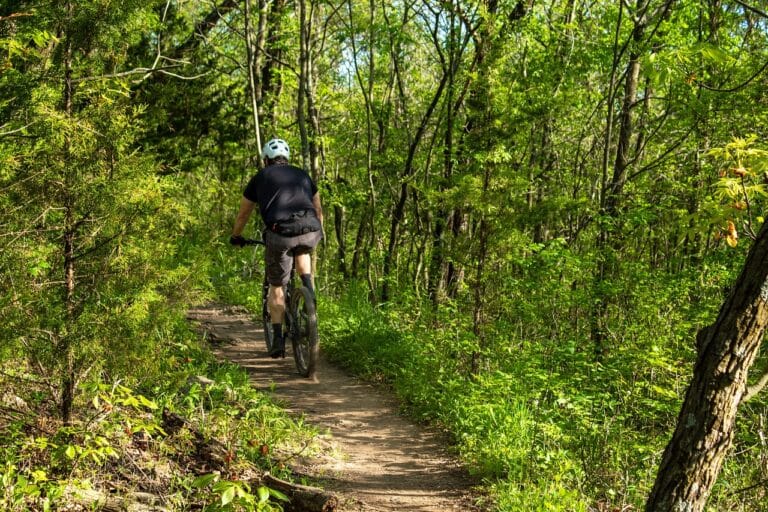 cyclist-5217020_1280